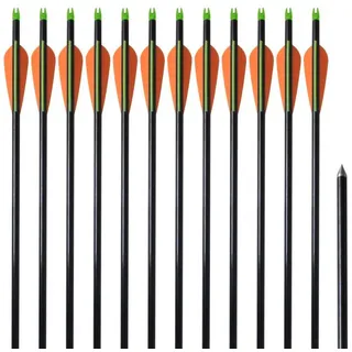 vidaXL Compoundbogen-Pfeile 30" 0,8 cm Fiberglas 12 Stk."
