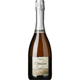 Oppidum  Spumante Brut Lazio Moscato DOC 2024, Cantina Sant'Andrea, Latium