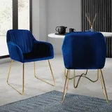 ML DESIGN modern liv 2er Set Esszimmerstühle Wohnzimmerstühle Küchenstuhl Polsterstuhl Blau Samt