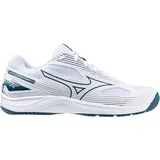 Mizuno Hallenschuhe, 44.5