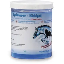 Vetripharm EquiPower Kühlgel 750 g