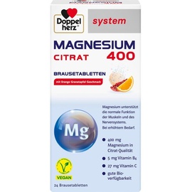 Queisser Doppelherz Magnesium 400 Citrat system