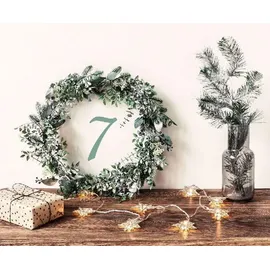 Brunnen Verlag Gießen Adventskalender JOY 2023 Lindgrün
