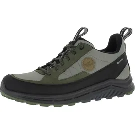 Hanwag Herren Rotpunkt Light Low GTX Schuhe (Größe 44.5, oliv)