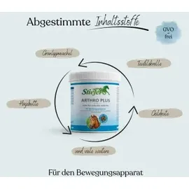Stiefel Arthro Plus 1 kg
