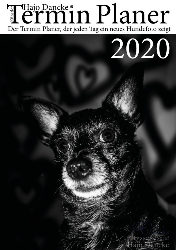 Termin Planer 2020 Mit Hundefotos Für Jeden Tag - Hajo Dancke  Kartoniert (TB)