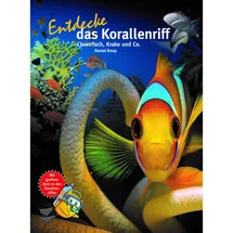 Natur und Tier Entdecke das Korallenriff