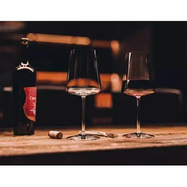 Stölzle Power Champagnerglas 0,24 l 6er Set