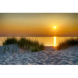 Fototapete PAPERMOON "Dunes Lake Michigan", bunt (mehrfarbig), B:3m L:2,23m, Vlies, Tapeten
