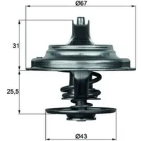 mahle Thermostat, Kühlmittel