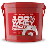 Scitec Nutrition 100% Whey Protein Professional Schokolade-Haselnuss Pulver 5000 g