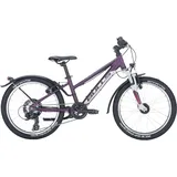 BULL'S Bulls Tokee Street 20'' 7-Gang Mädchen lila 2024