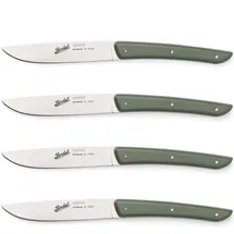 Berkel Steakmesser-Set 4-tlg. 11 cm grün, Edelstahl / Kunststoff