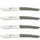 Berkel Steakmesser-Set 4-tlg. 11 cm grün, Edelstahl / Kunststoff