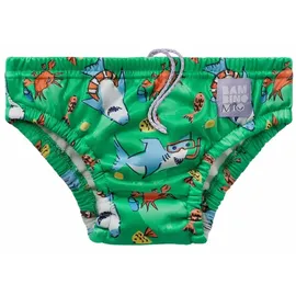 Bambino Mio Wiederverwendbare Schwimmwindel, Flosse, 2-3 Jahre, Strandmode-Essentials für Babys und Kleinkinder, Jungen und Mädchen.