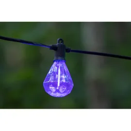 Sirius Home Marcus Starter Kit, 10L, Multi