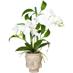 CREATIV green künstliche Pflanze Orchideen-Bambus Arrangement x2, ca 60cm, weiss, Real Touch, im Zementtopf Buddha