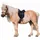 Kerbl Sattelset Economy Pony 15,0" Schwarz