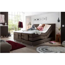 Prinz MANOLO 2 - braun