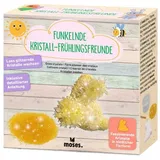 Moses Funkelnder Kristall-Frühlingsfreund, sortiert