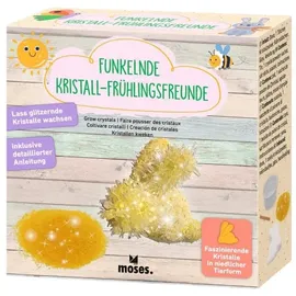 Moses Funkelnder Kristall-Frühlingsfreund, sortiert