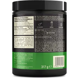 Optimum Nutrition Micronised Creatine Pulver 317 g