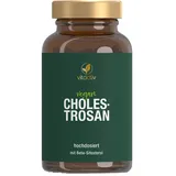 Feelgood Shop B.V. CHOLESTROSAN