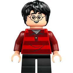 LEGO® - Harry Potter - hp509 - Harry Potter (76437)