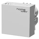 Homeway LAN/Mesh-Modul HW-UGWT6TAXRW