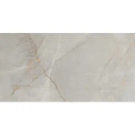 Euro Stone Bodenfliese Feinsteinzeug Arch 30 x 60 cm light grey