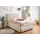 otto home Boxbett OTTO HOME "Hartley inkl. Bettkasten und Topper, auch in Überlänge erhältlich", beige, B:102cm L:210cm, Komplettbetten, wahlweise mit Bonnell- oder TTFK-Matratze in H2, H3 o. H4 erhältlich, Topseller