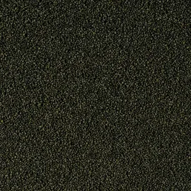 Tropical Super Spirulina Forte Mini Granulat 2 x 100 ml
