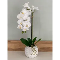 Kunstorchidee Kunstblume Orchidee Phalaenopsis, weiß in Keramiktopf, ca. 48 cm hoch Orchidee, Dahlia Studios, Keramiktopf weiß