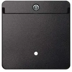 Merten Card-Schalter anth 315414