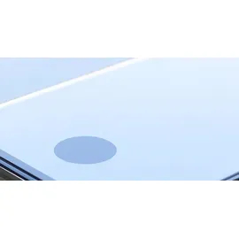 Panzer Glass PanzerGlass Case Friendly Antibakterieller Screen Protector Samsung Galaxy S21 Ultra - Schwarz