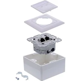 InLine Cat.6A Netzwerkdose 2x RJ45 Buchse geschirmt weiß RAL9010