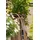 Gardena EcoLine Gartenschlauch 20 m schwarz