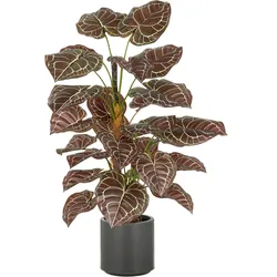 Kunstpflanze CREATIV GREEN "Anthurium", braun, H:100cm, Kunststoff, Kunstpflanzen, mit naturgetreuer Gestaltung