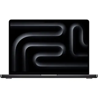 2024 M4 Max 64 GB RAM 2 TB SSD 40-Core GPU Space Schwarz