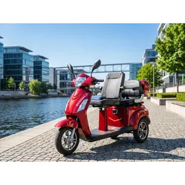 ECONELO E-Seniorenmobil Billy 2.0 3-Rad 1000 Watt Rot/Grau