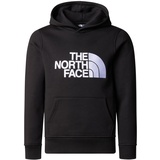 The North Face Kinder B Drew Peak P/O Hoodie (Größe L,