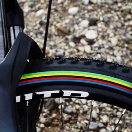 Vittoria Barzo XC Uci Edition 29 x 2,1 TL Ready schwarz