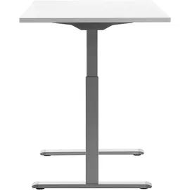 TOPSTAR Schreibtisch E-Table weiß / grau