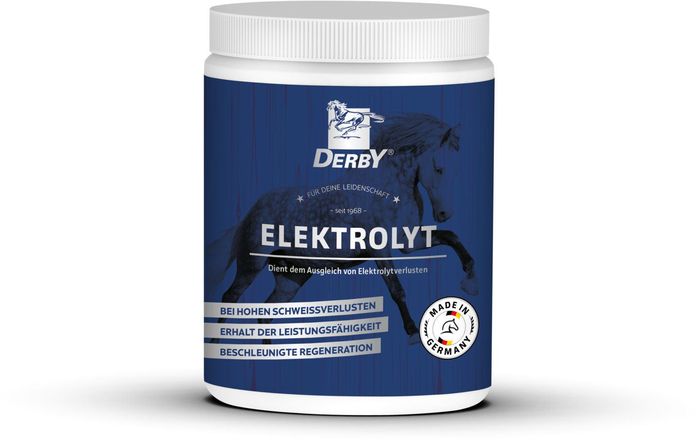 DERBY Elektrolyt Pferde-Ergänzungsfuttermittel 1 Kilogramm