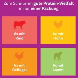 Whiskas Pure Delight Klassisches Ragout in Gelee 24 x 85 g