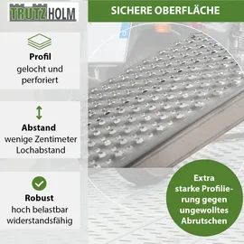 Trutzholm Auffahrrampe 500 kg