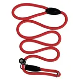 LIONTO Retrieverleine Hundeleine Führleine rot 1,7 m