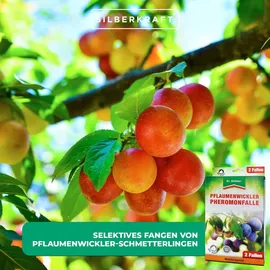 Dr. Stähler Pflaumenwickler Pheromonfalle 2 Fallen
