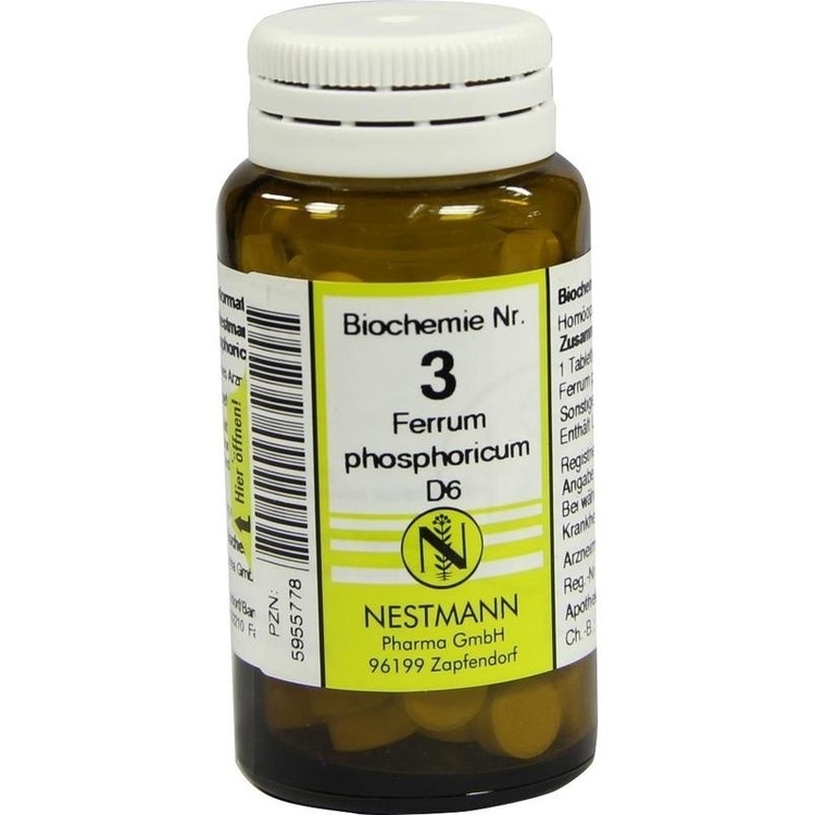 nestmann biochemie 3