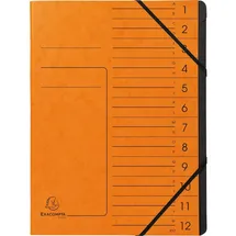 Exacompta Ordnungsmappe 12 Fächer A4 orange 1 St.
